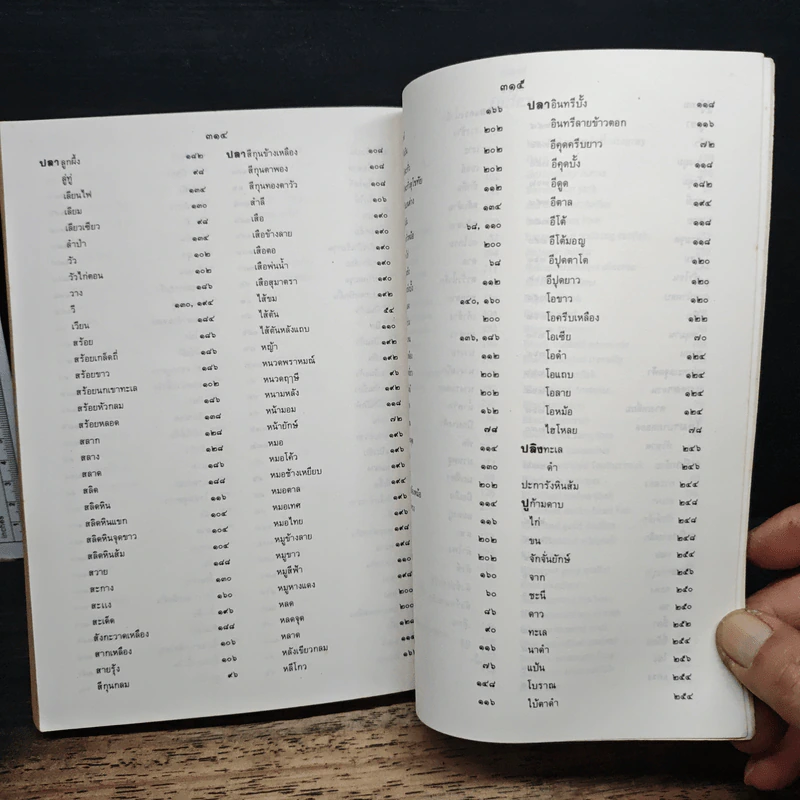 ภาพปลาและสัตว์น้ำของไทย - กรมประมง กระทรวงเกษตรและสหกรณ์ รูปที่ 12