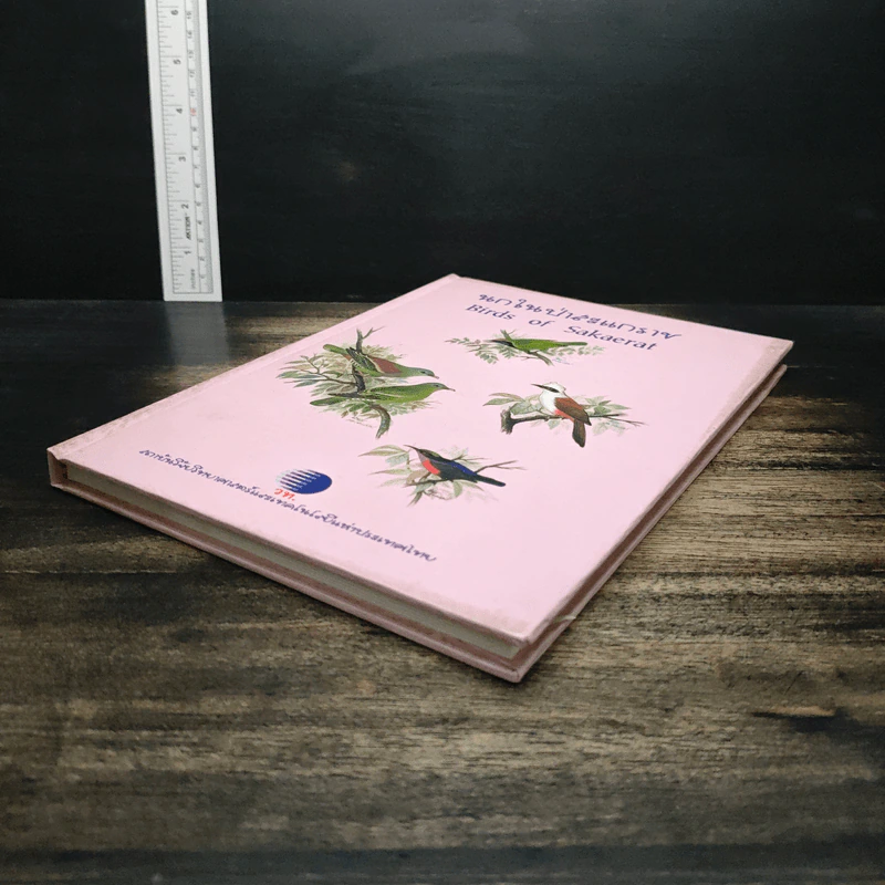นกในป่าสะแกราช Birds of Sakaerat - สถาบันวิจัยวิทยาศาสตร์และเทคโนโลยีแห่งประเทศไทย รูปที่ 4