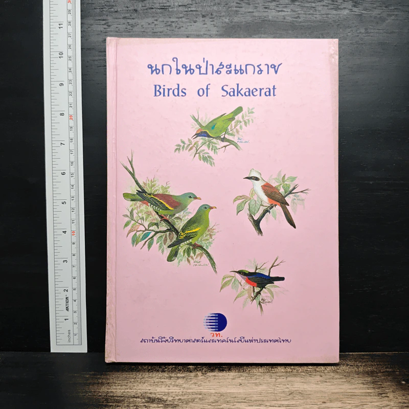 นกในป่าสะแกราช Birds of Sakaerat - สถาบันวิจัยวิทยาศาสตร์และเทคโนโลยีแห่งประเทศไทย รูปที่ 1