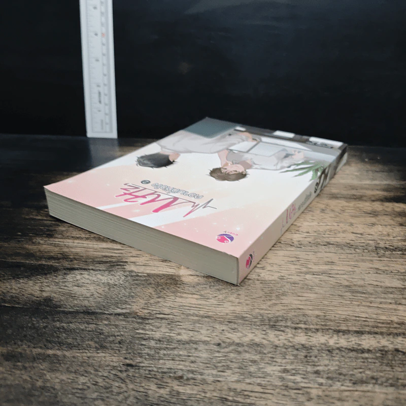 MHz, ความถี่หัวใจ เล่ม 2 - Swanlee รูปที่ 5