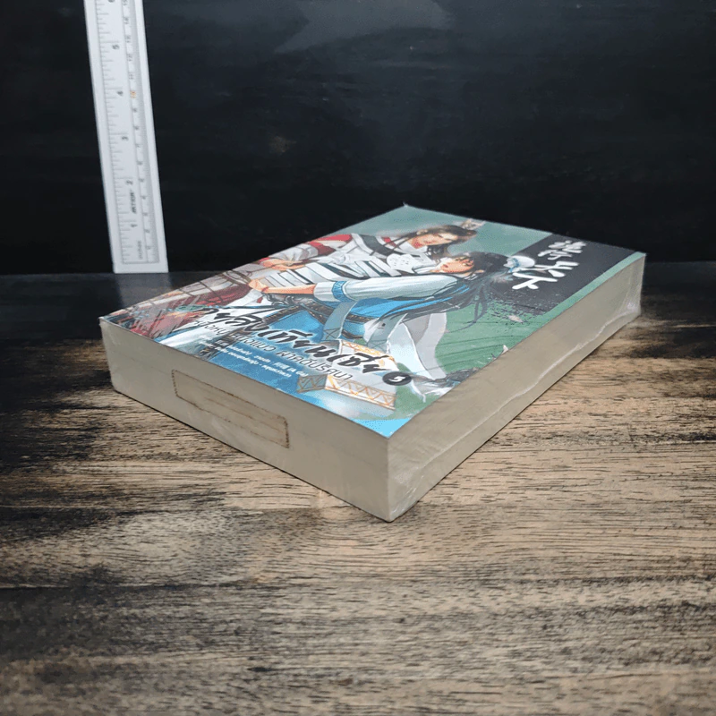 กุ่ยสิงเทียนเซี่ย เล่ม 5 - เอ่อร์หย่า, ชินชิน จอมยุทธ์หญิง รูปที่ 4