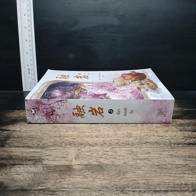 ศิลาหลอมรัก เล่ม 2 - หมิงเยวี่ยทิงเฟิง รูปที่ 3