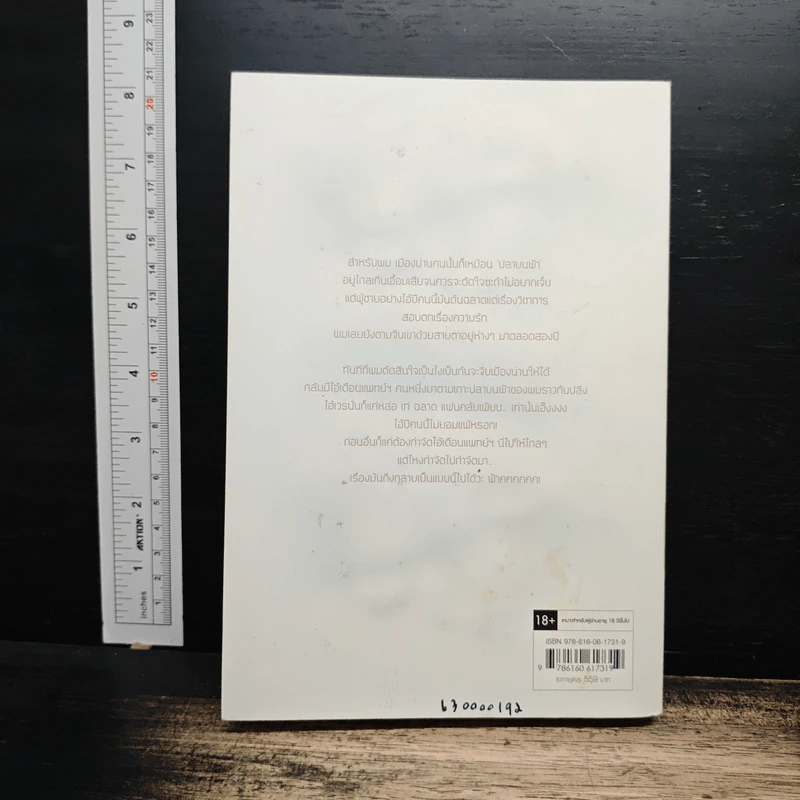 ปลาบนฟ้า เล่ม 2 - JittiRain รูปที่ 2