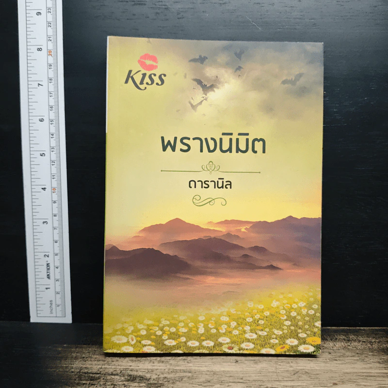 พรางนิมิต - ดารานิล รูปที่ 1
