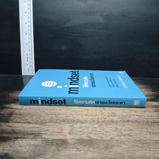 Mindset ใช้ความคิดเอาชนะโชคชะตา - Carol S.Dweck รูปที่ 3