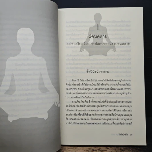 Pharmacy for the Soul - OSHO รูปที่ 10