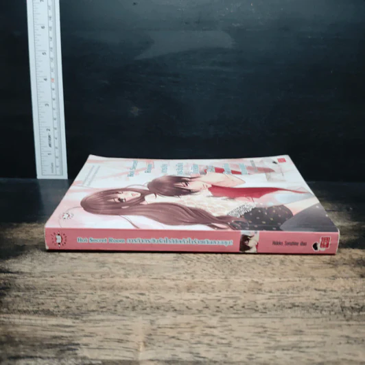 Hot Secret Room ภารกิจ กระซิบรักใกล้ชิดหัวใจร้ายเกินควบคุม! - Hideko_Sunshine รูปที่ 3