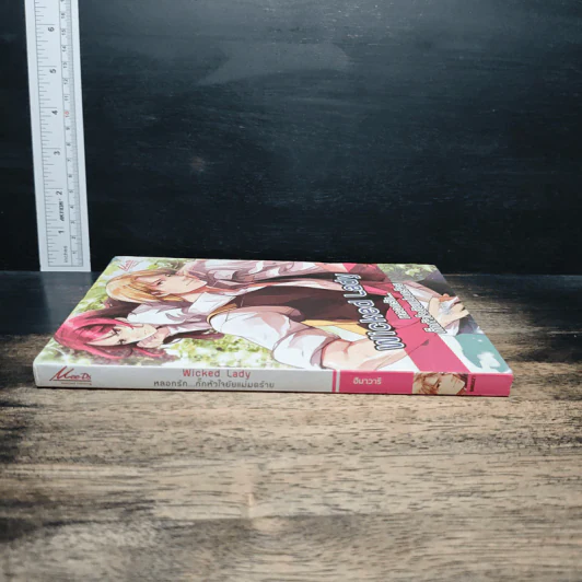 Wicked Lady หลอกรัก..กั๊กหัวใจยัยแม่มดร้าย - ฮิมาวาริ รูปที่ 3
