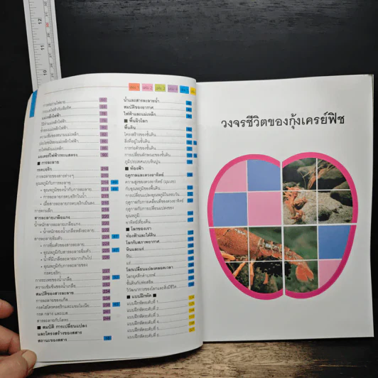 Nanmeebooks สารานุกรมวิทยาศาสตร์ เล่ม 3 รูปที่ 12