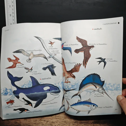 Nanmeebooks สารานุกรมวิทยาศาสตร์ เล่ม 3 รูปที่ 13