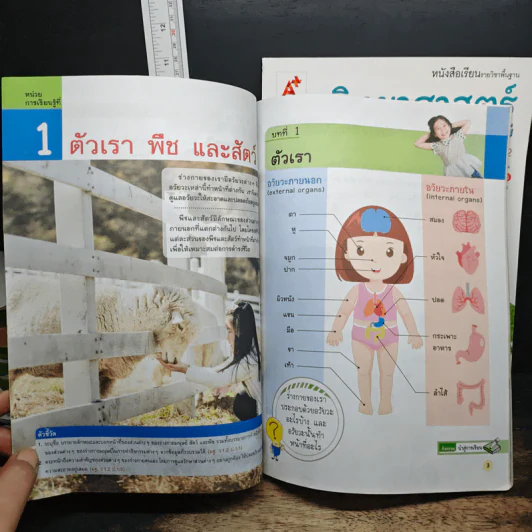 วิทยาศาสตร์และเทคโนโลยี ชั้นประถมศึกษาปีที่ 1 เล่ม 1-2 รูปที่ 9
