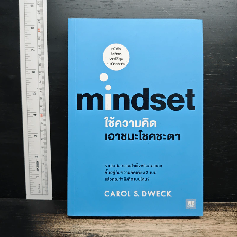 Mindset ใช้ความคิดเอาชนะโชคชะตา - Carol S.Dweck รูปที่ 1