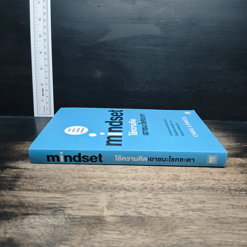 Mindset ใช้ความคิดเอาชนะโชคชะตา - Carol S.Dweck รูปที่ 3
