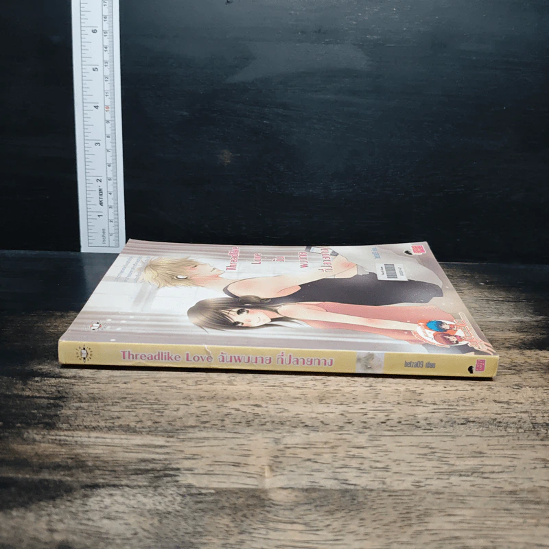 Threadlike Love ฉันพบนายที่ปลายทาง - belza09 รูปที่ 3