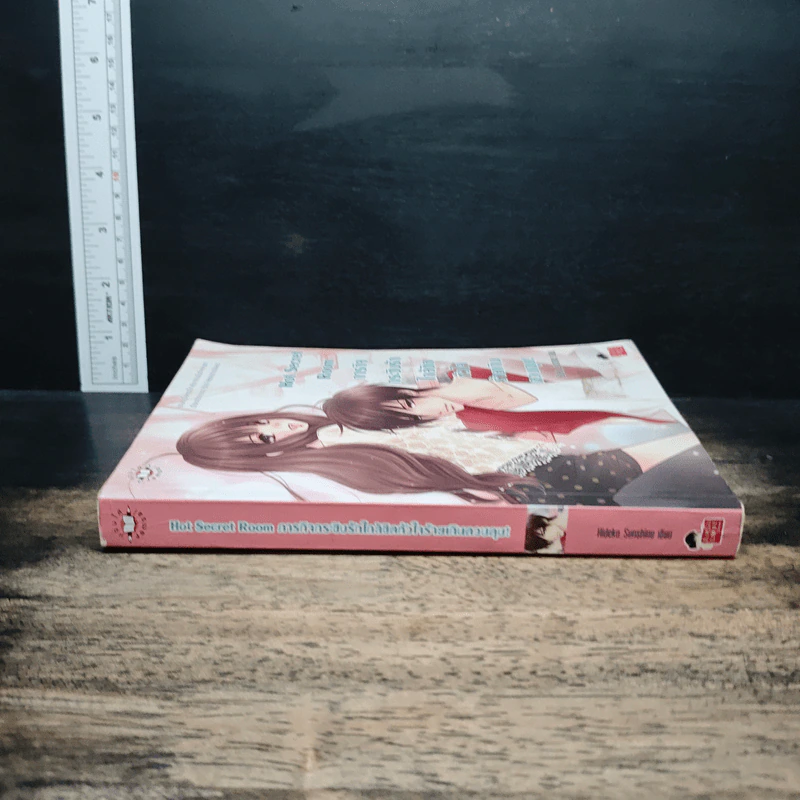 Hot Secret Room ภารกิจ กระซิบรักใกล้ชิดหัวใจร้ายเกินควบคุม! - Hideko_Sunshine รูปที่ 3