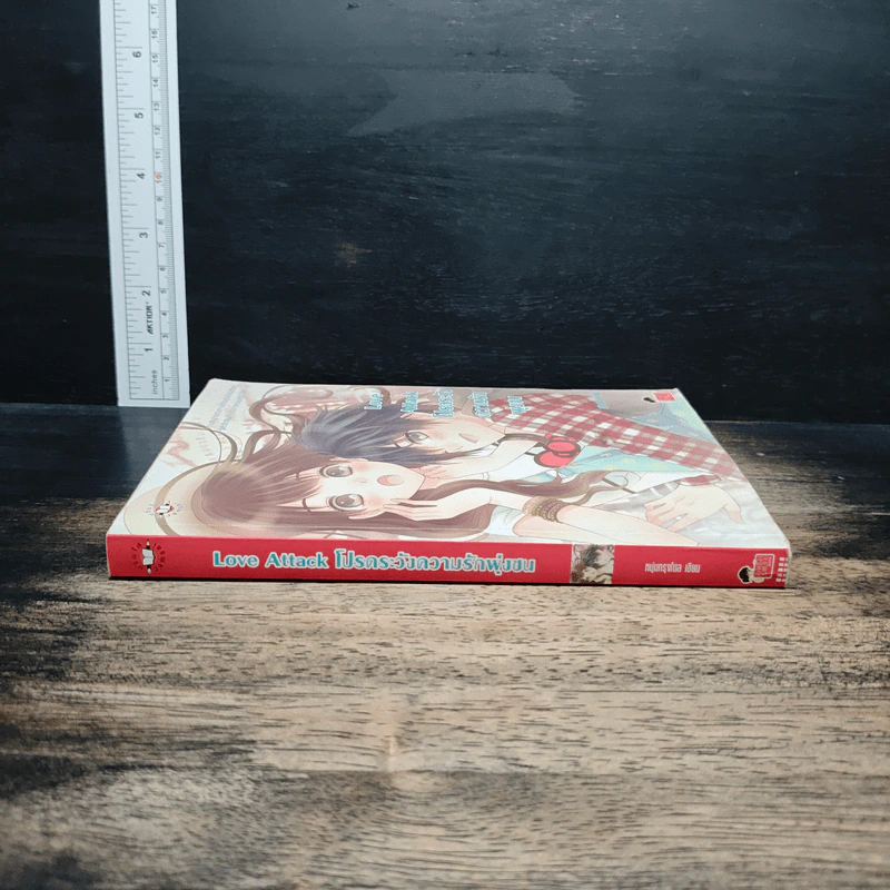 Love Attack โปรดระวังความรักพุ่งชน - หนุ่มกรุงโซล รูปที่ 3