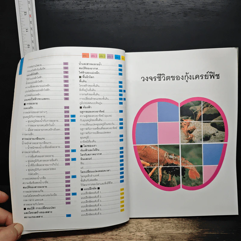 Nanmeebooks สารานุกรมวิทยาศาสตร์ เล่ม 3 รูปที่ 12