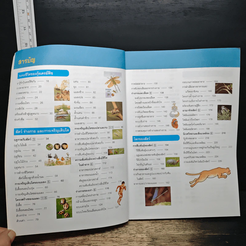 Nanmeebooks สารานุกรมวิทยาศาสตร์ เล่ม 3 รูปที่ 7
