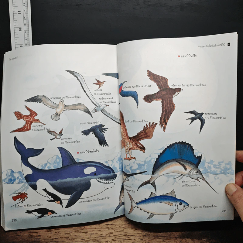 Nanmeebooks สารานุกรมวิทยาศาสตร์ เล่ม 3 รูปที่ 13