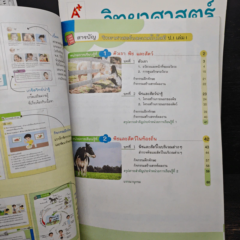 วิทยาศาสตร์และเทคโนโลยี ชั้นประถมศึกษาปีที่ 1 เล่ม 1-2 รูปที่ 8