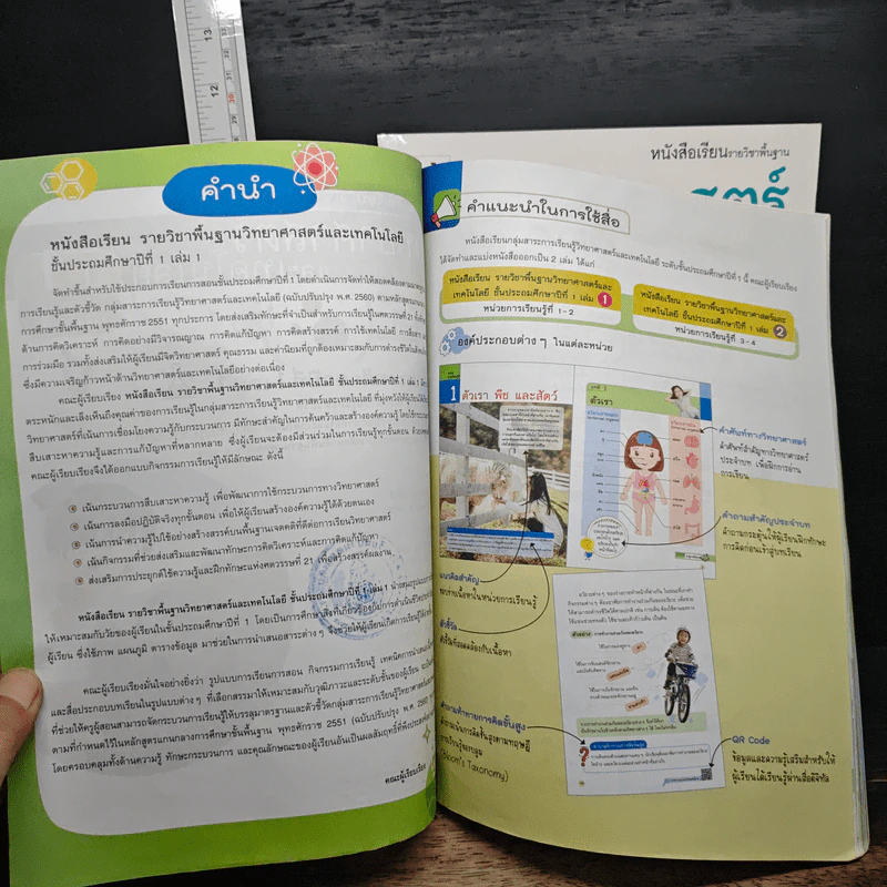 วิทยาศาสตร์และเทคโนโลยี ชั้นประถมศึกษาปีที่ 1 เล่ม 1-2 รูปที่ 7