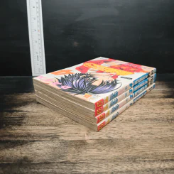 มิโดริจังกับเจ้าชายทั้งสิบเอ็ด เล่ม 1-4 รูปที่ 4