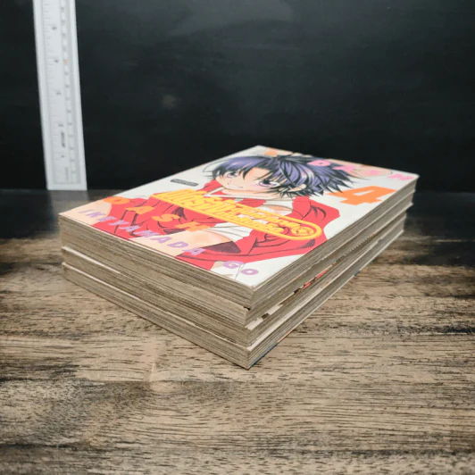มิโดริจังกับเจ้าชายทั้งสิบเอ็ด เล่ม 1-4 รูปที่ 3