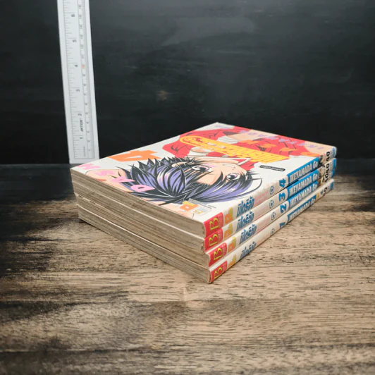 มิโดริจังกับเจ้าชายทั้งสิบเอ็ด เล่ม 1-4 รูปที่ 4
