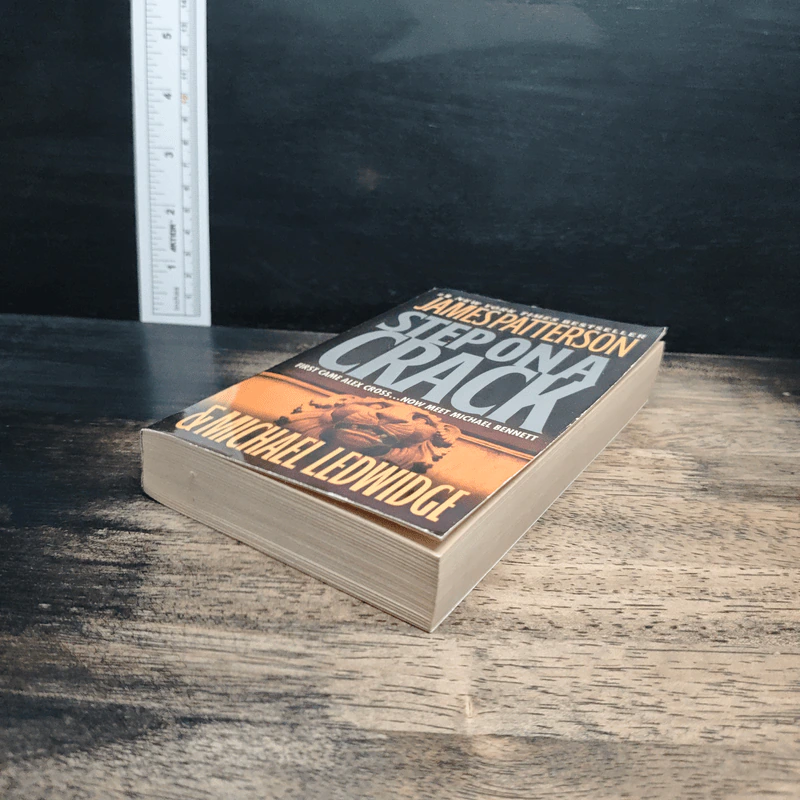 Step On A Crack - James Patterson, Michael Ledwidge รูปที่ 4