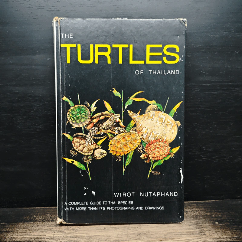 The Turtles of Thailand รูปที่ 1
