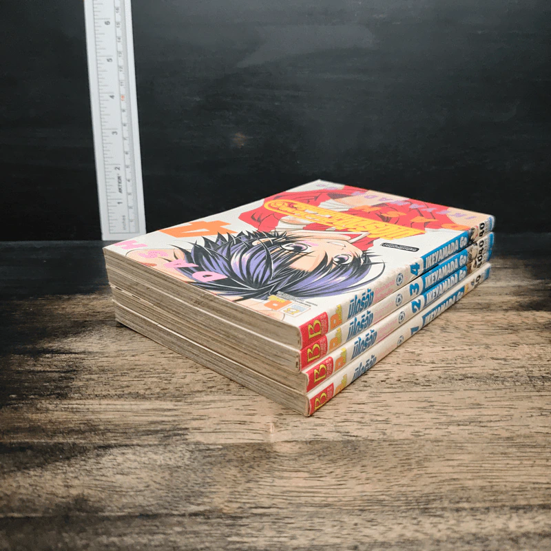 มิโดริจังกับเจ้าชายทั้งสิบเอ็ด เล่ม 1-4 รูปที่ 4