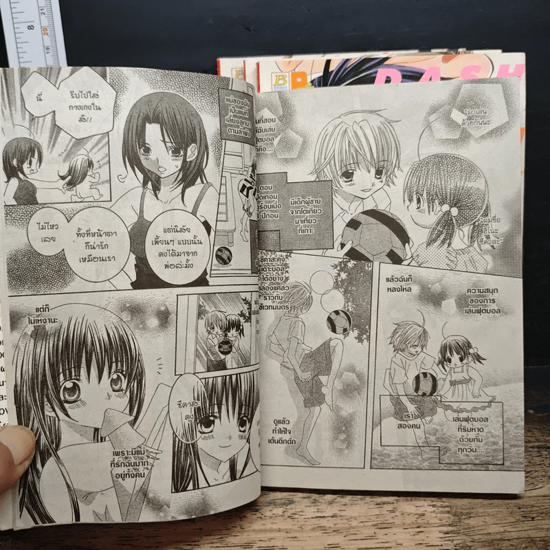 มิโดริจังกับเจ้าชายทั้งสิบเอ็ด เล่ม 1-4 รูปที่ 8