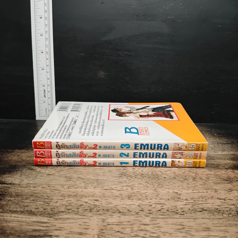 คู่รักสลับขั้ว ภาค 2 เล่ม 1-3 รูปที่ 3