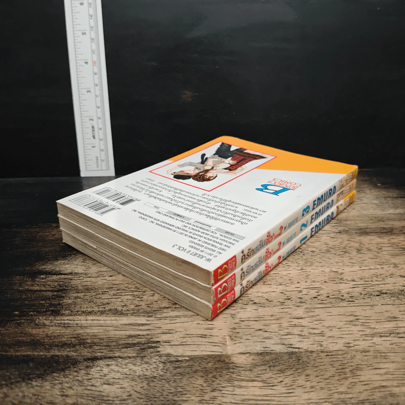 คู่รักสลับขั้ว ภาค 2 เล่ม 1-3 รูปที่ 5