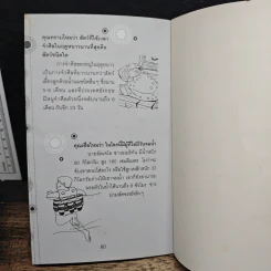 คุณทราบไหมว่า รูปที่ 8