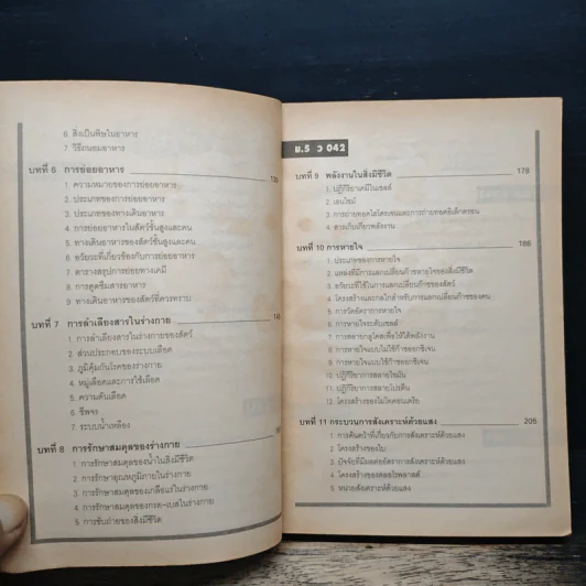 สรุปชีววิทยา ม.ปลาย ม.4-ม.5-ม.6 รูปที่ 8