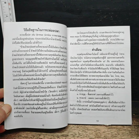 หนังสือสวดมนต์ พระแก้วมรกต + หลวงปู่ทวด + สมเด็จพระพุฒาจารย์ รูปที่ 7