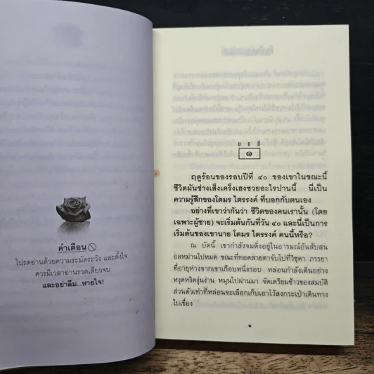 คิมหันต์สวรรค์หาย - พนมเทียน รูปที่ 7