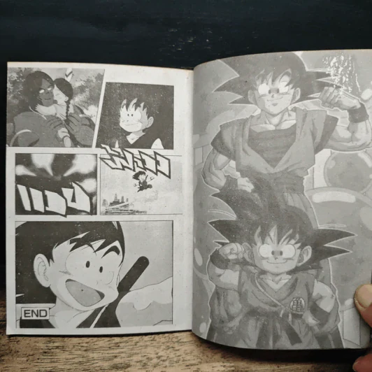Dragon Ball Z ผจญภัยสุดขอบโลก รูปที่ 9