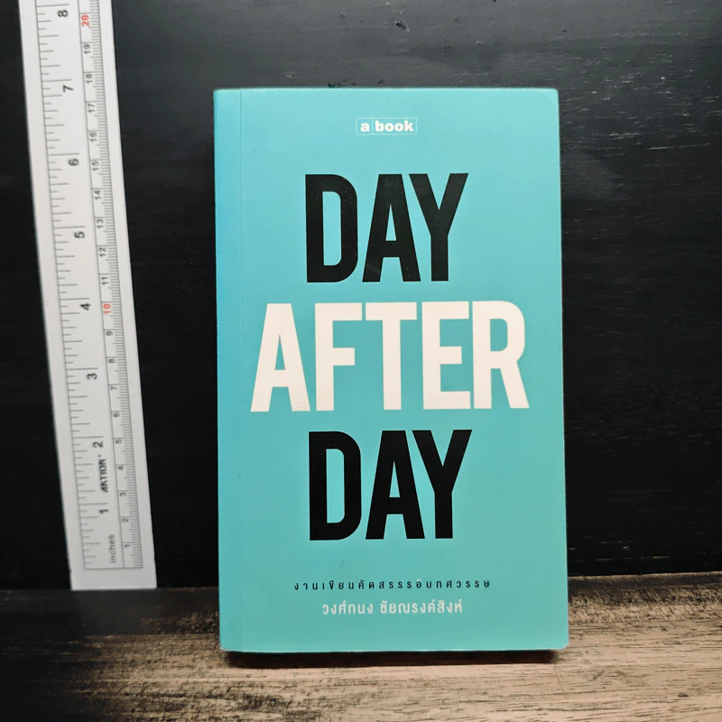 Day After Day - วงศ์ทนง ชัยณรงค์สิงห์ รูปที่ 1