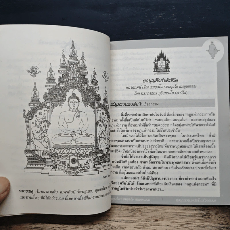 ผลบุญคือกำลังชีวิต รูปที่ 8