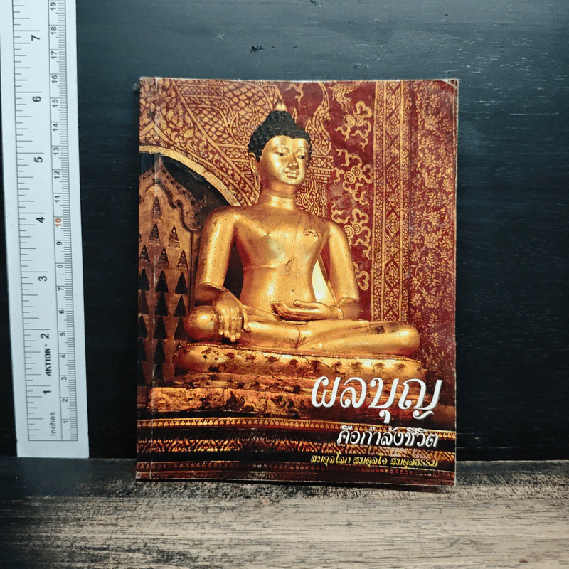 ผลบุญคือกำลังชีวิต รูปที่ 1