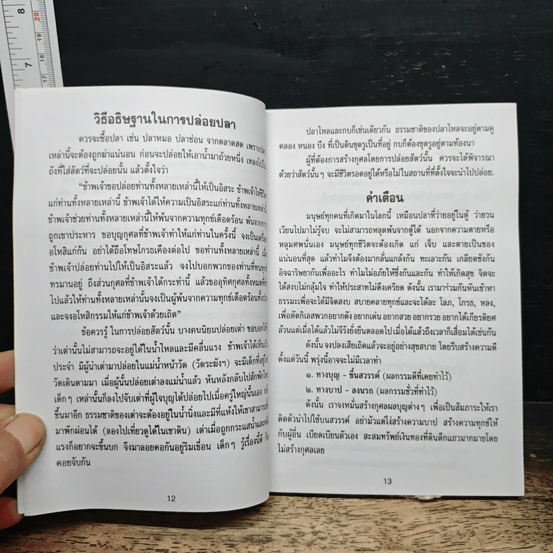 หนังสือสวดมนต์ พระแก้วมรกต + หลวงปู่ทวด + สมเด็จพระพุฒาจารย์ รูปที่ 7