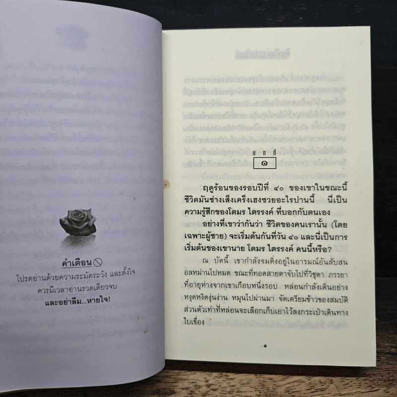 คิมหันต์สวรรค์หาย - พนมเทียน รูปที่ 7
