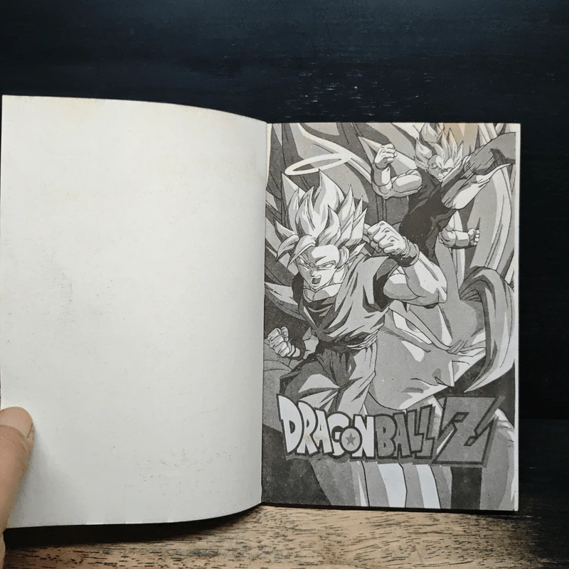 Dragon Ball Z ผจญภัยสุดขอบโลก รูปที่ 6