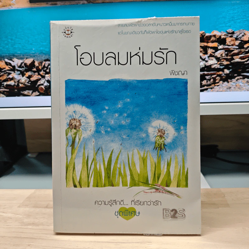 โอบลมห่มรัก - พิชญา รูปที่ 1