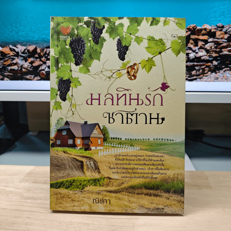 มลทินรักซาตาน - ณิชกา รูปที่ 1