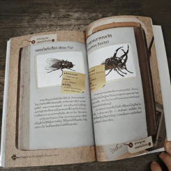 Bugs Bugs ศึกเวทมนตร์โรงเรียนแมลง เล่ม 3 รูปที่ 9