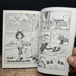 บันทึกป่วนๆของสาวน้อยแมวเหมียว เล่ม 1 รูปที่ 9