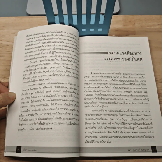 เสียงจากความเงียบ - รองศาสตราจารย์ ดร.ธีรา สุขสวัสดิ์ ณ อยุธยา รูปที่ 9